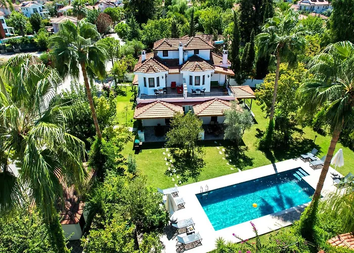 Villa Misli - Red/ Green